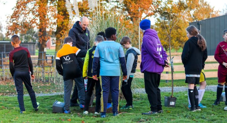 Tree Planting