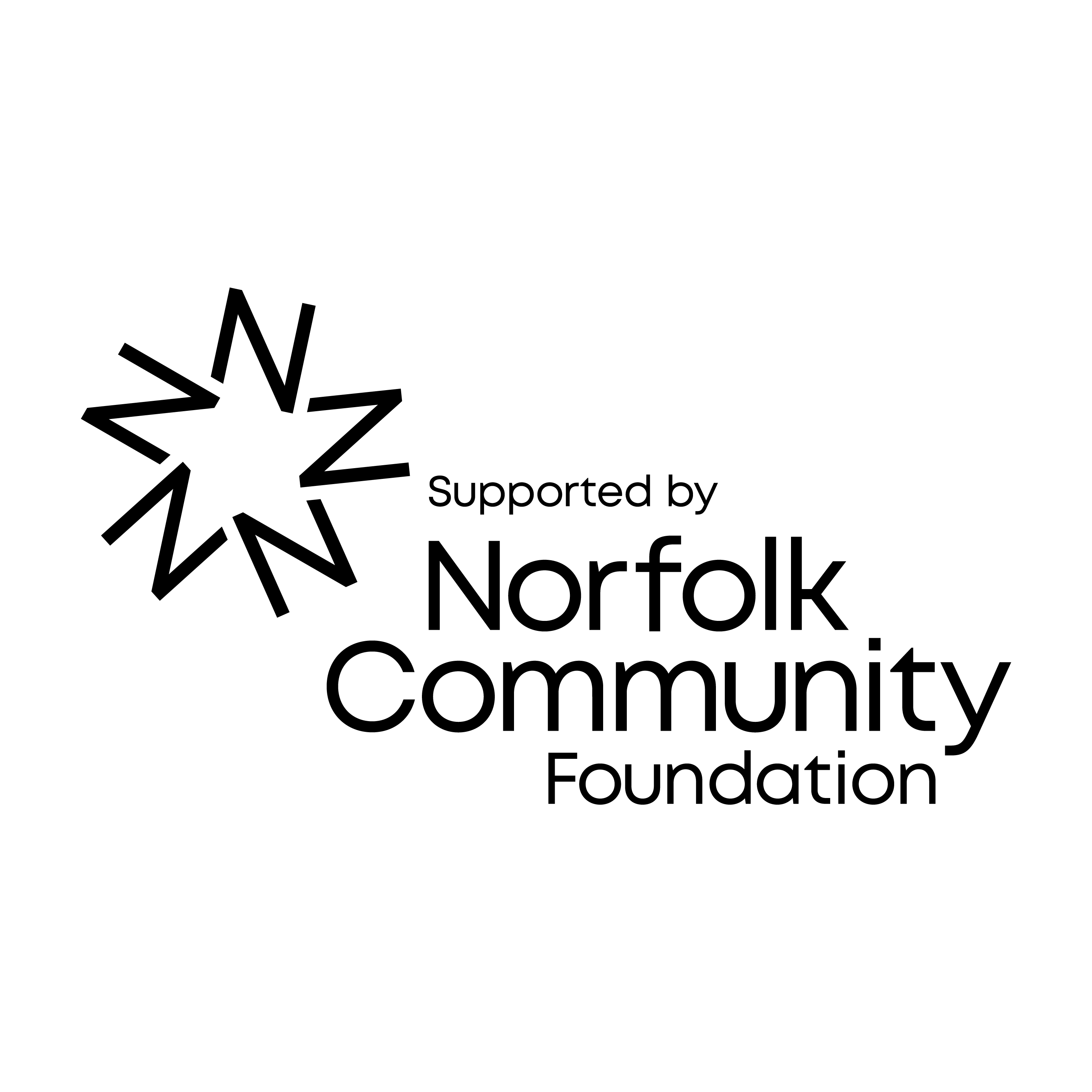 Link to http://norfolkfoundation.com
