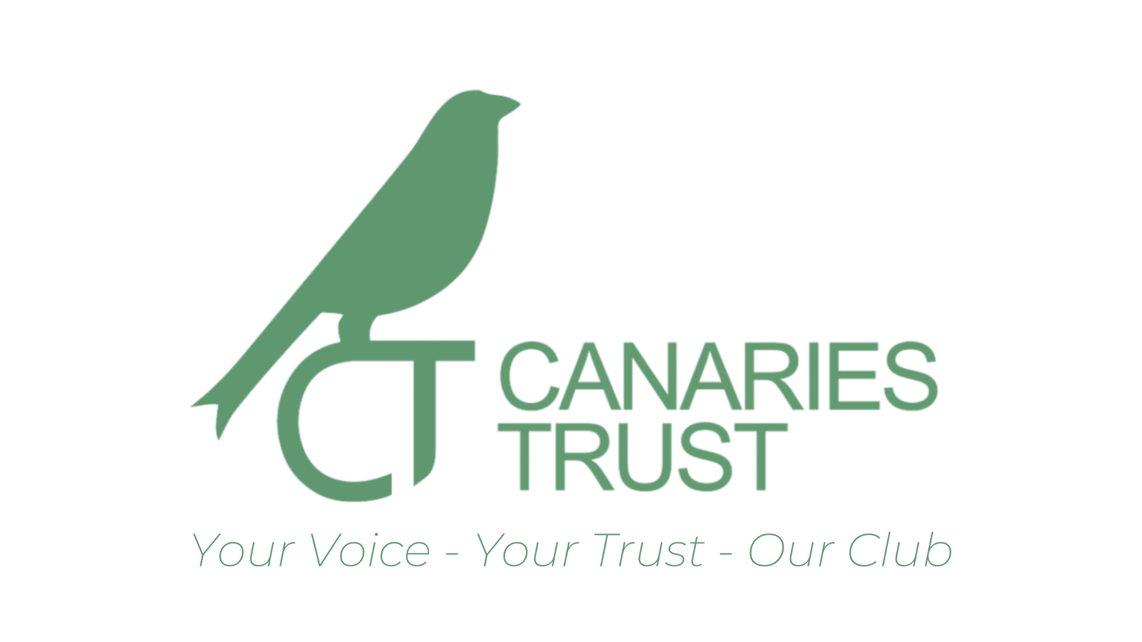 Link to https://www.canariestrust.org/