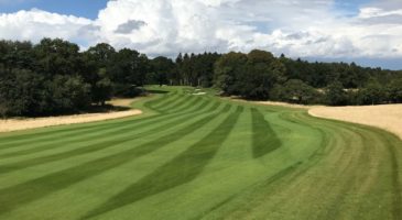 golf course