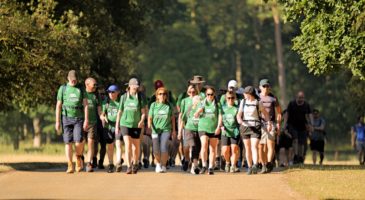 group of walkers 